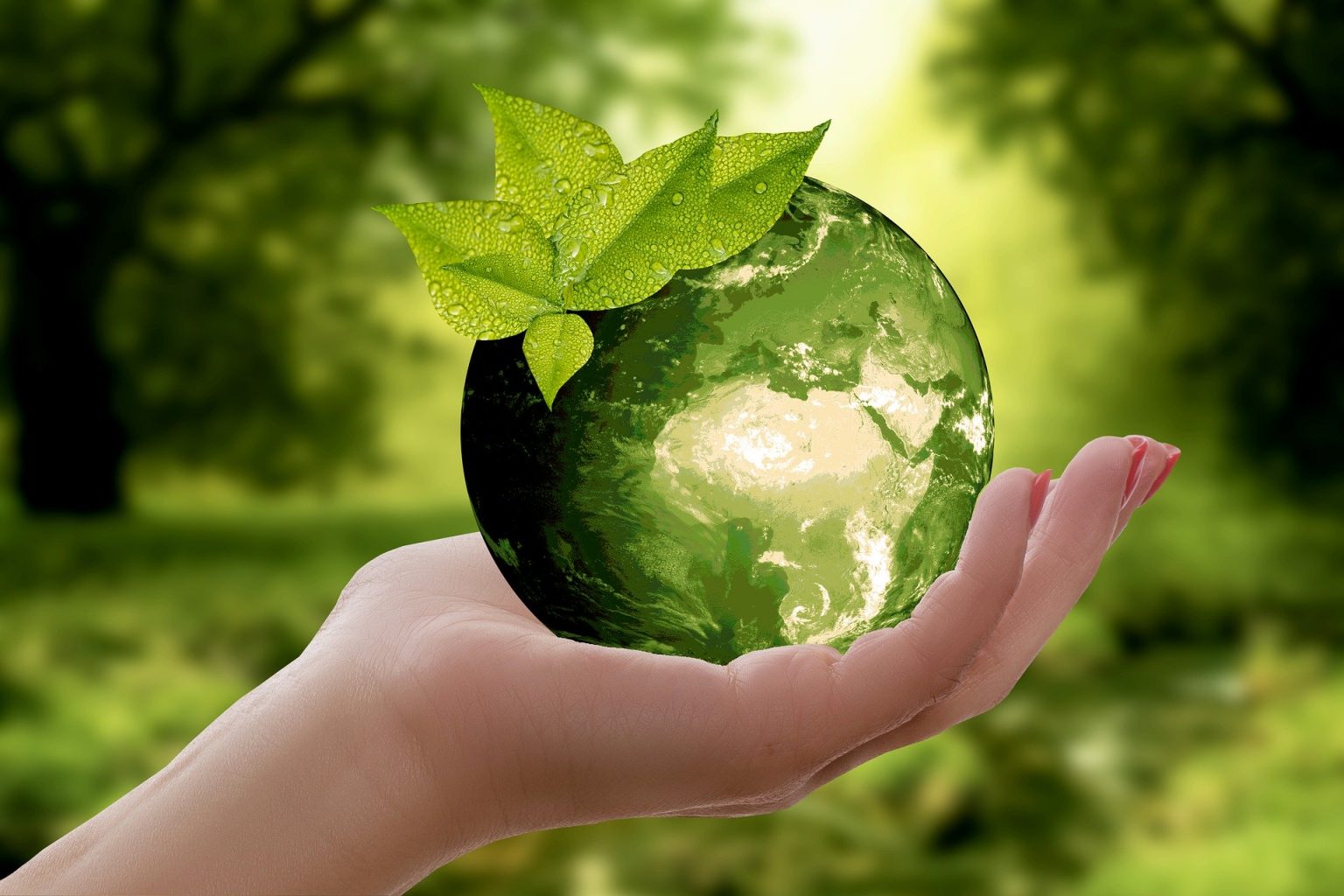 Imagen principal del artículo: La tutela jurídica ambiental y su convergencia en el Derecho Internacional Público