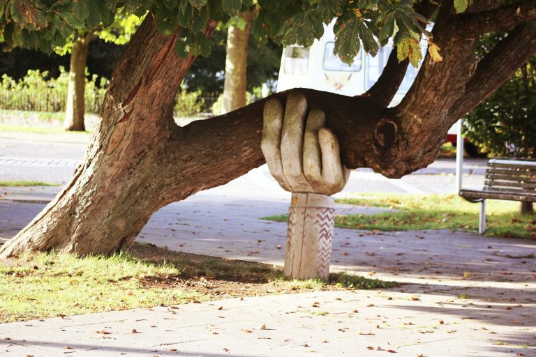 De cara a la necesidad: solidaridad, creatividad y eficiencia
