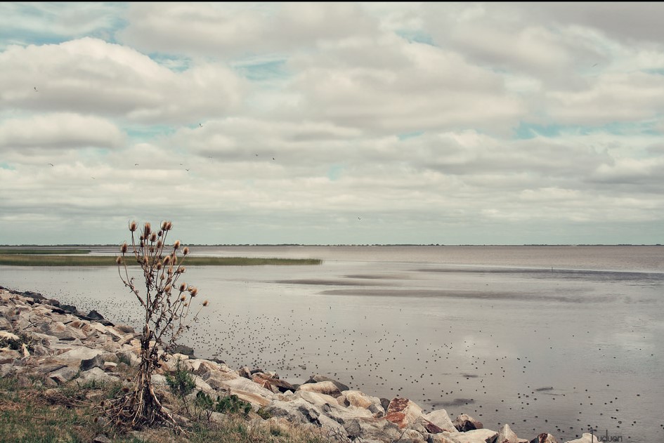 Imagen principal del artículo: Día Internacional del sobregiro de la Tierra