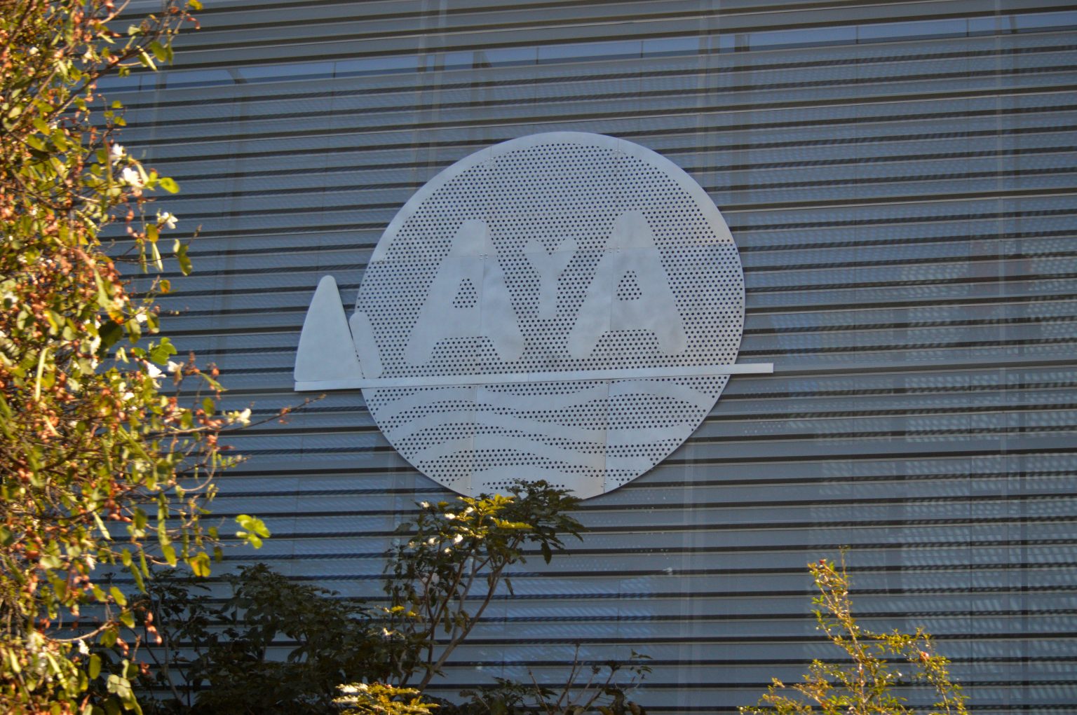 Imagen principal del artículo: Renuncia gerente general del AyA