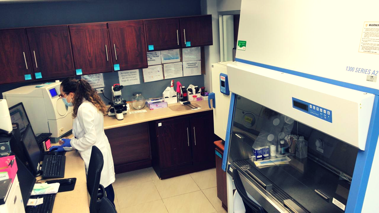 Imagen principal del artículo: COVID-19: Salud reporta 430 nuevos casos y 7 fallecidos para este 16 de febrero