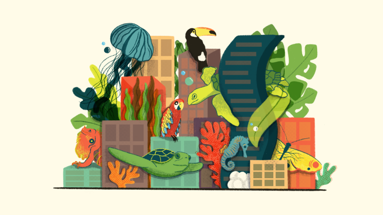 Municipalidad de Nicoya: un reglamento visionario pero incierto