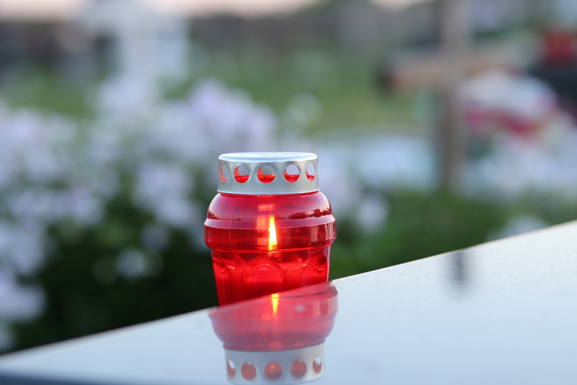 Imagen principal del artículo: A la memoria de Gilda Pacheco