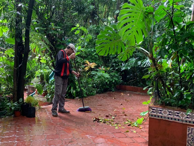 Voyeurs de la cuarentena: Antonio, jardinero