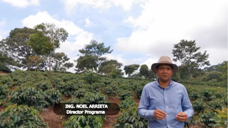 Programa impulsará la producción y comercialización de cafés especiales