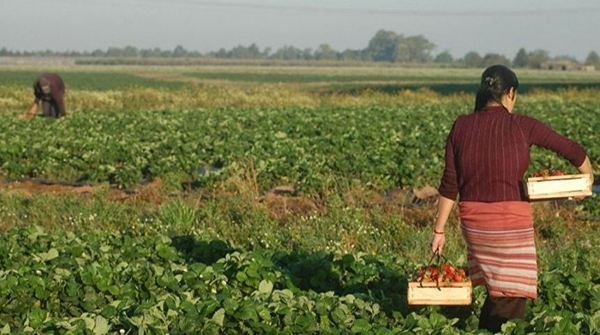 FAO75: Mujeres rurales, indígenas y afrodescendientes son vitales para desarrollo rural