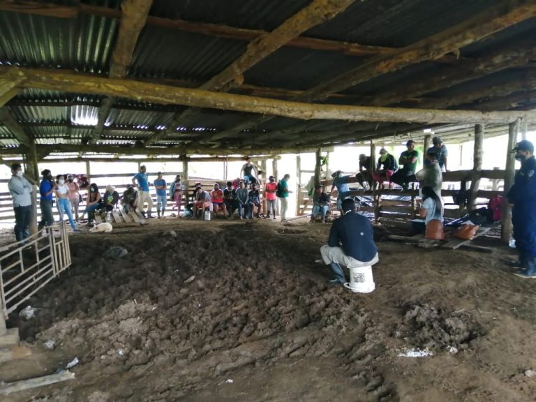 Conflicto por tierras en territorio indígena de China Kichá se mantiene; Gobierno busca soluciones