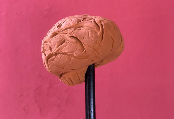 Imagen principal del artículo: Play-Doh: para aprender sobre la moldeabilidad y adaptabilidad de los procesos mentales