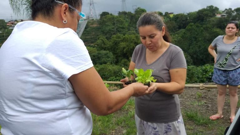 Programa de huertas caseras llega a primeras 800 familias del cantón de Naranjo