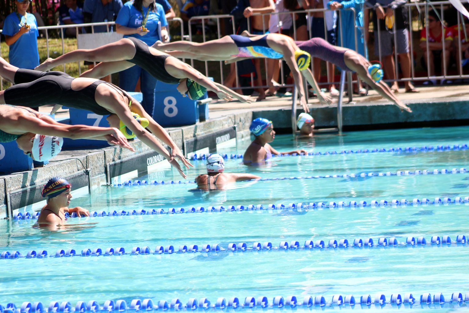 Imagen principal del artículo: Natación recibió luz verde para regresar a la competencia