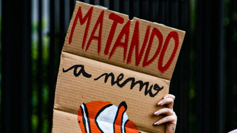 Un año no nos va a decir si la pesca de arrastre es sostenible o no