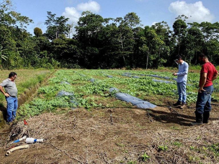 Universidad EARTH recibe donación de US$17.900 y construye laboratorio de fertirriego