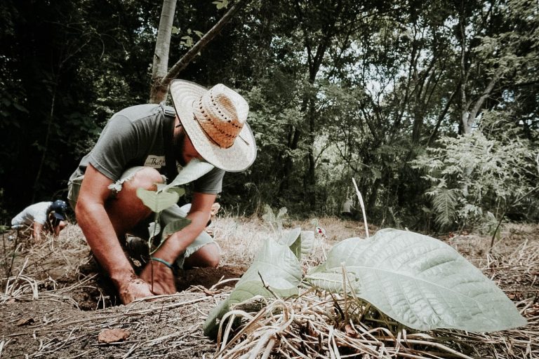 Proyecto costarricense gana premio de €5000 para restauración ambiental en pueblo indígena