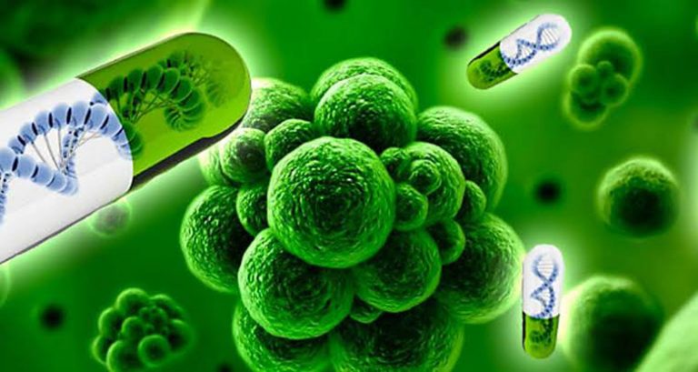 OMS advierte que resistencia antimicrobiana podría ser la principal causa de muerte en 2050