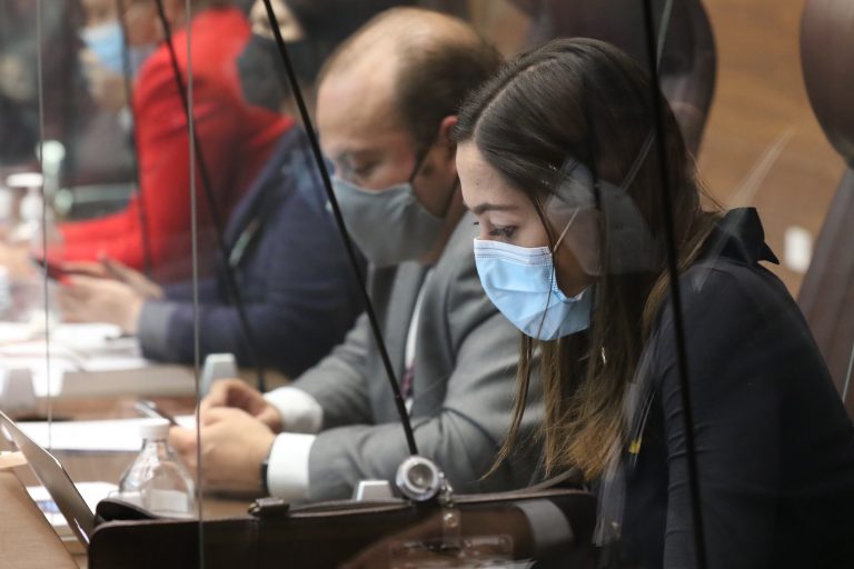 Diputados acusan de racismo a María Inés Solís