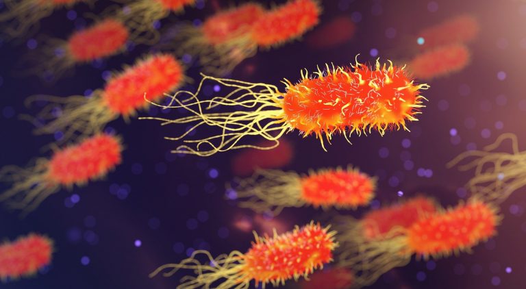 La aplicación de técnicas de evaluación para identificar agentes biológicos