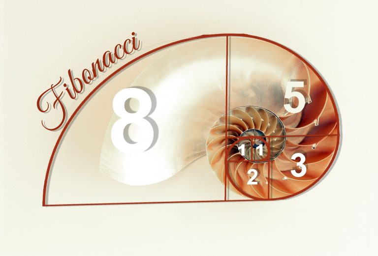 Las matemáticas: pilar fundamental de las fuerzas