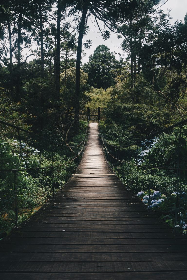 Los procesos ambientalmente amigables en los diseños de estructuras
