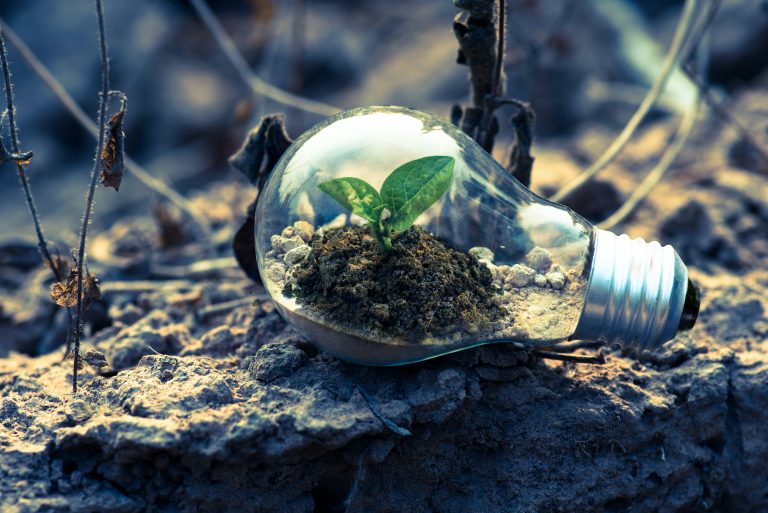 El impacto al medio ambiente da números positivos en tiempos del COVID