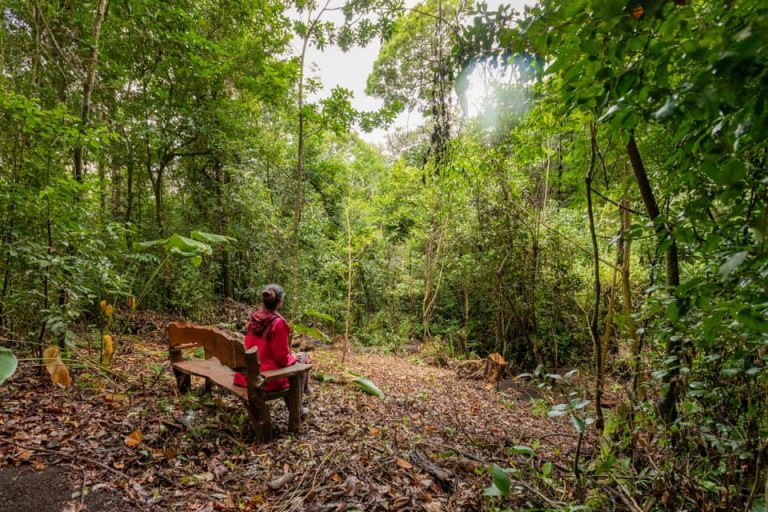 Monteverde, lo que queda…