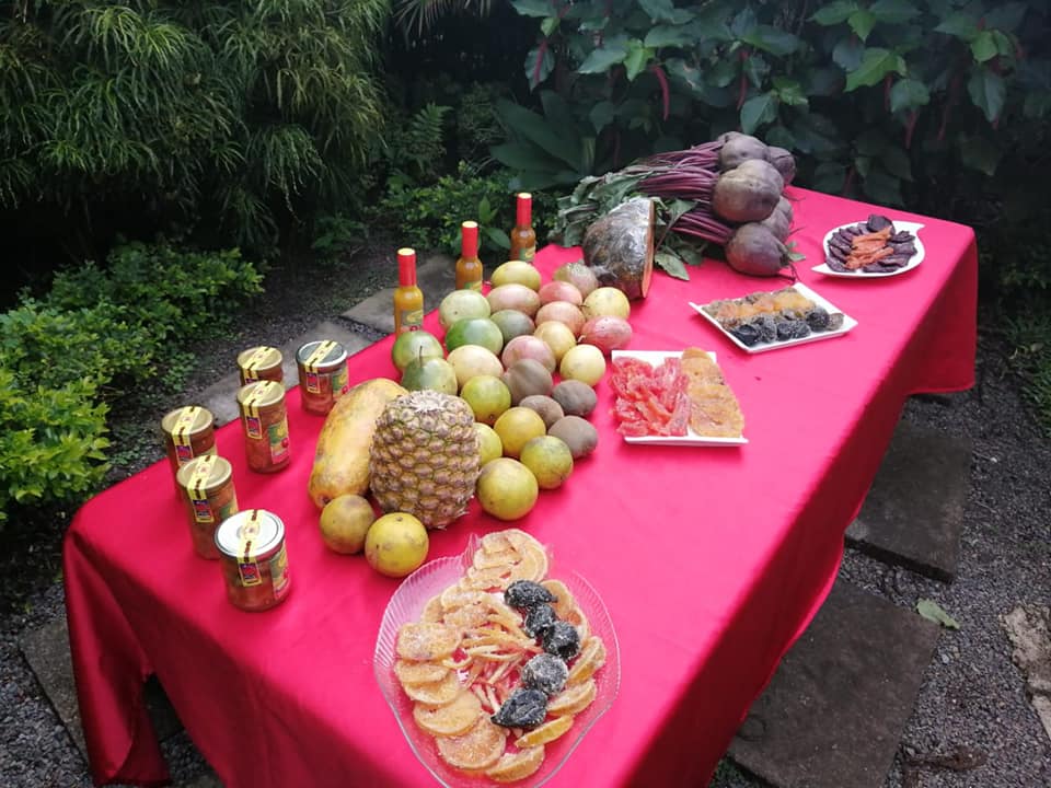 Imagen principal del artículo: Con canales web y creación de paquetes, emprendimiento agrícola sale adelante en medio de la pandemia