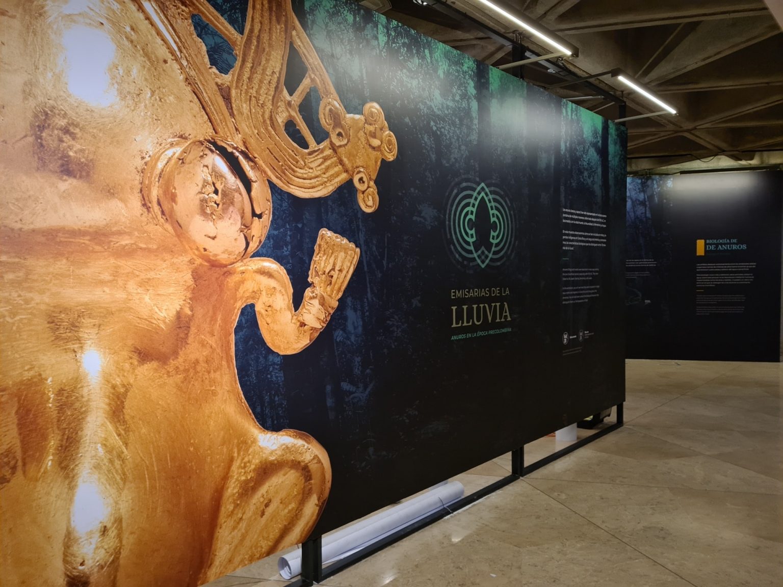 Imagen principal del artículo: Emisarias de la lluvia: la exposición que nos acerca a conocimientos ancestrales sobre los anuros