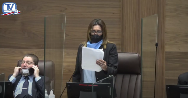 Diputada votará en contra "todos" los proyectos del Ejecutivo tras firma de norma técnica