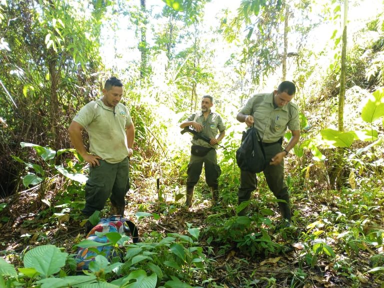 Fin y principio de año dejó 136 sospechosos por infracciones ambientales en Áreas de Conservación