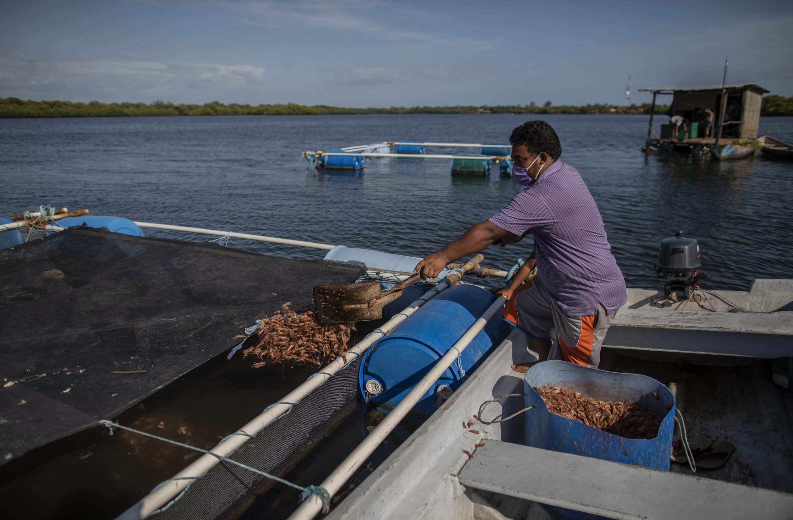 Imagen principal del artículo: Jaulas marinas en Nicaragua, una apuesta para salvar al mar y empoderar a los pescadores
