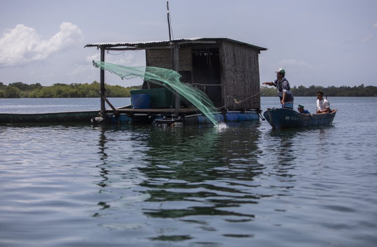 INCOPESCA y Federación Costarricense de Pesca se enfrentan por extensión del polígono costero