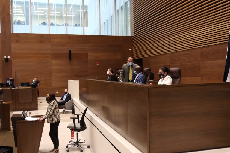 Diputados "preocupados por curso lectivo 2021" rompen quorum en interpelación de ministra de Educación