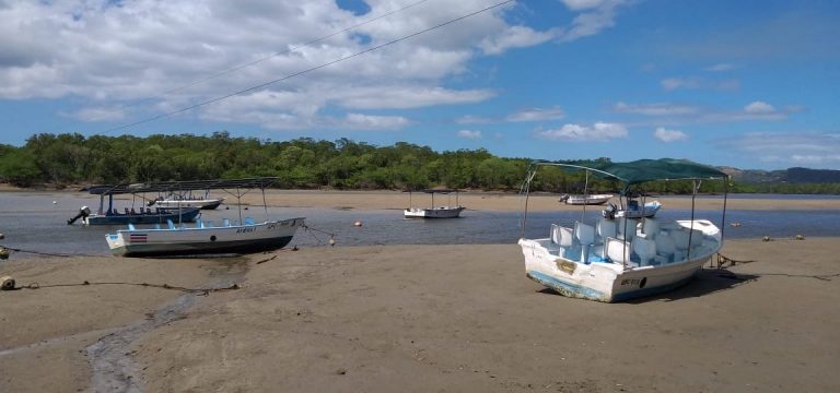 Sector turismo se indigna ante nuevo cobro de admisión en Parque Nacional Marino Las Baulas