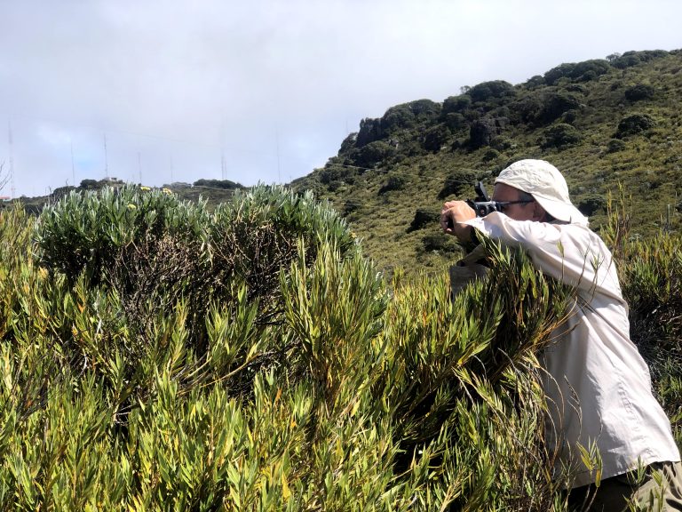 UCR estudia el impacto que tiene la cercanía con áreas protegidas en la polinización de los cultivos