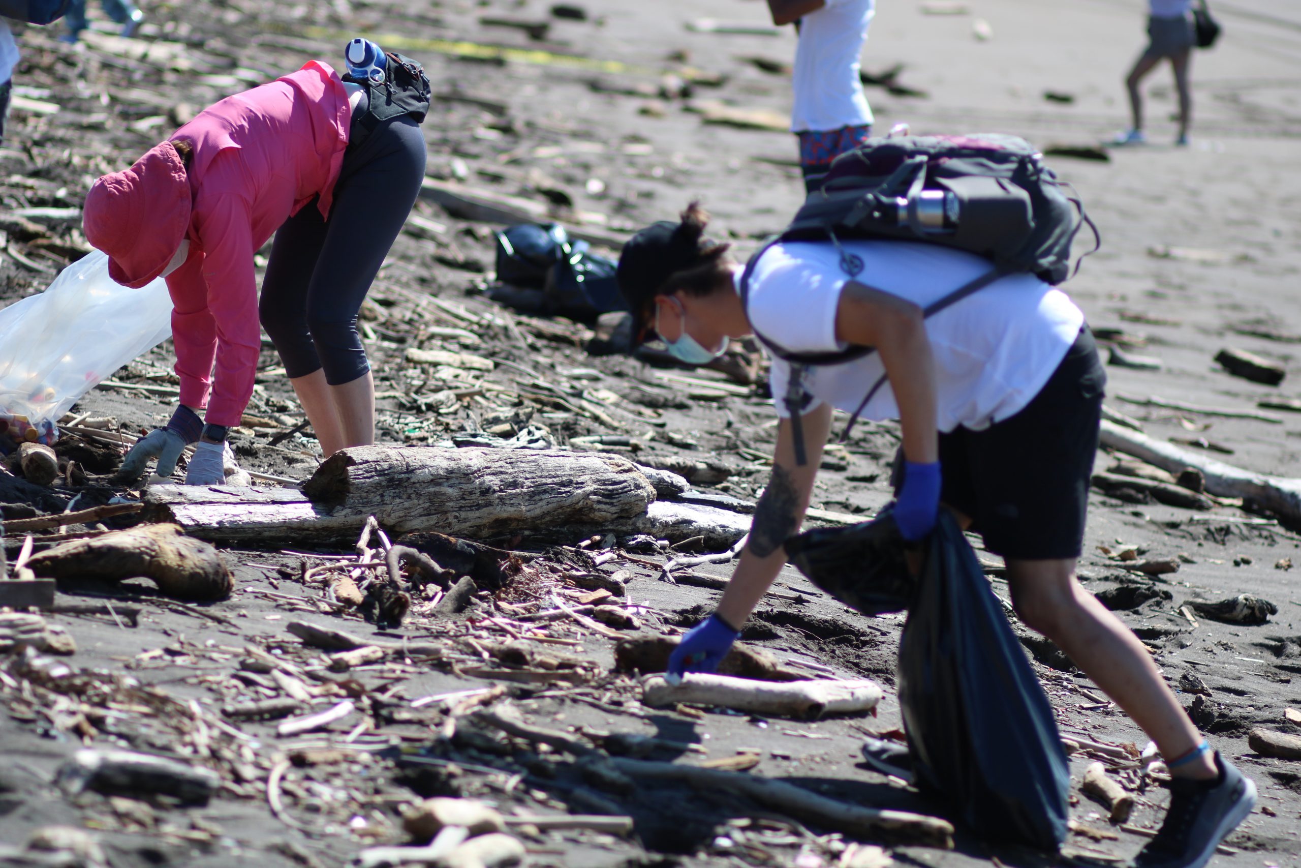Imagen principal del artículo: Jóvenes de todo el país recogen más de 230 kg de residuos en limpieza de playa El Cocal en Puntarenas