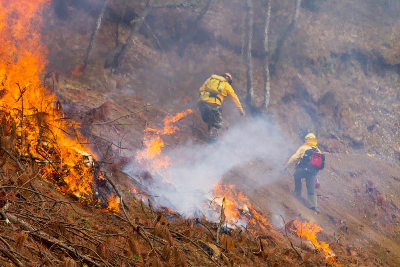 Imagen principal del artículo: MINAE y SINAC lanzan edición 2021 de la campaña “Un verano sin incendios forestales”