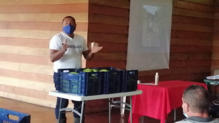 CNP anuncia proyecto para que territorios indígenas produzcan hasta 40 mil plátanos semanales