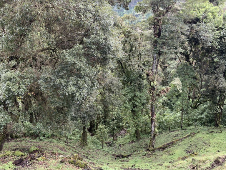 Intel Costa Rica lanza iniciativa para preservar agua en el país