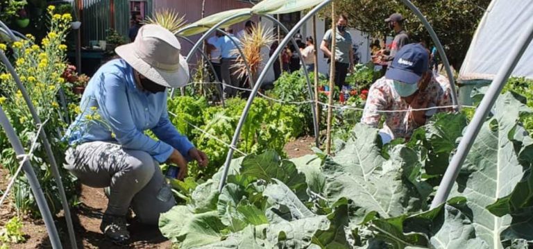 PEN: Falta de enfoque territorial dificulta atender las desigualdades productivas