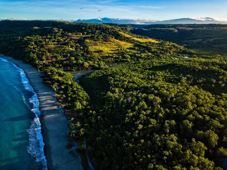 El impresionante y positivo aumento de la cobertura forestal en Costa Rica