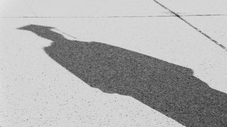 El estigma de la educación privada