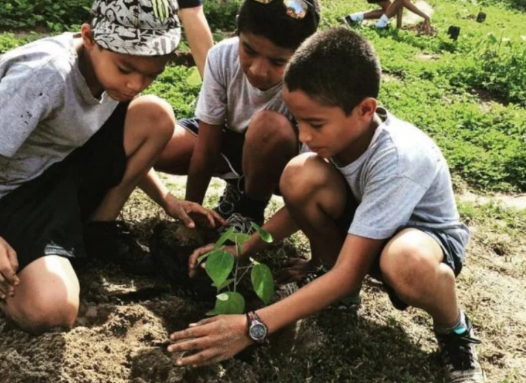 Asociación dona libros sobre educación ambiental a escuelas en Nicoya