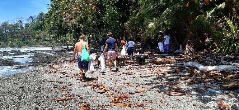 Campaña de sostenibilidad ambiental busca potenciar a Montezuma como destino turístico