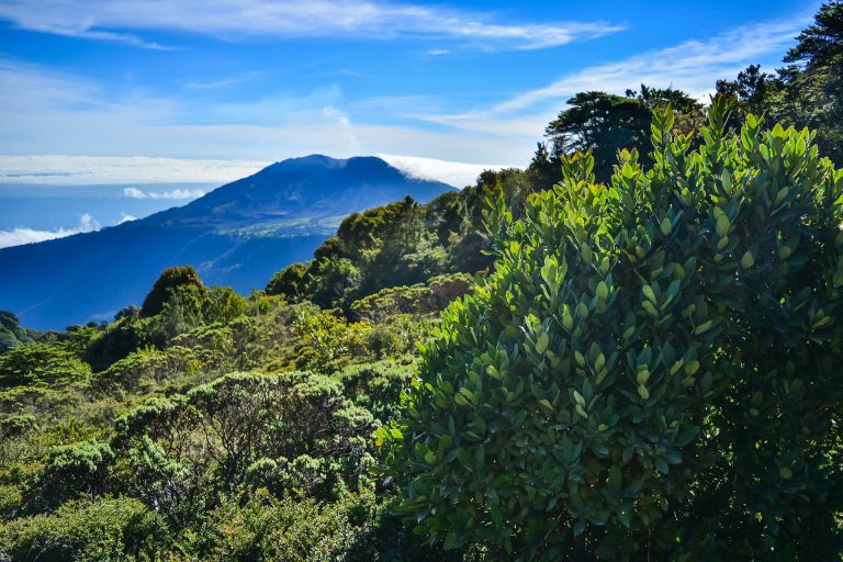 Las redes sociales, una herramienta para la promoción del geoturismo en Costa Rica