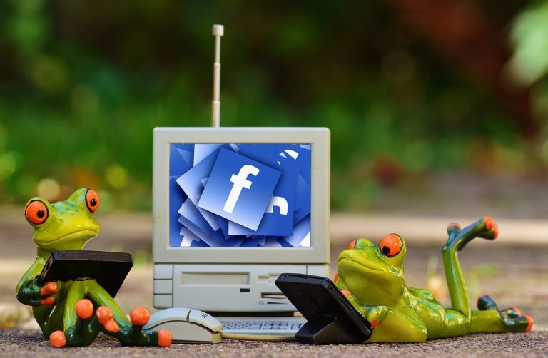 Believe it or not, even Facebook will teach you English