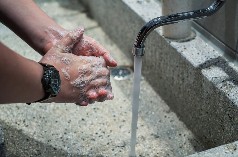 Los controles de sanidad en tiempos de pandemia se vuelven muy estrictos