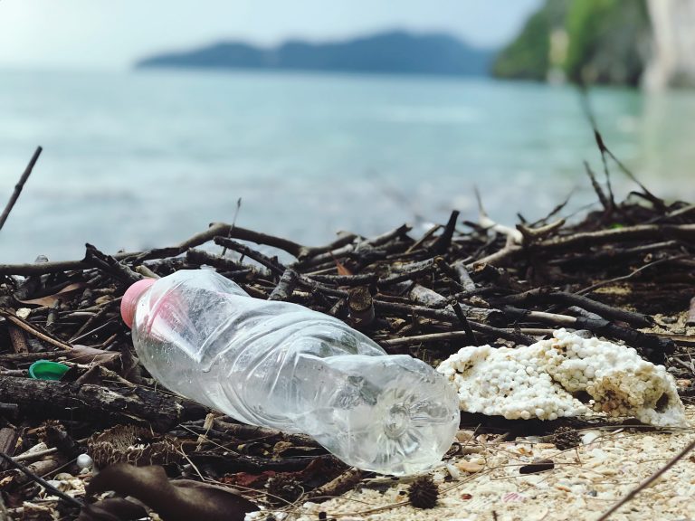 MarViva alerta sobre el uso y desecho de plásticos que se presentan como “biodegradables”