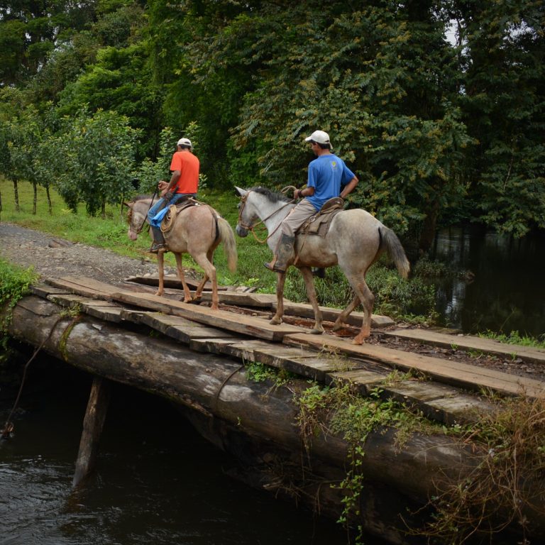 42 gobiernos locales elaborarán planes para mejorar su gestión vial cantonal
