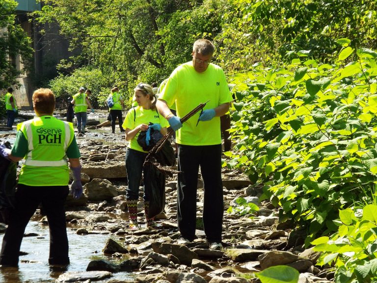 Vivir el voluntariado como una experiencia profesional