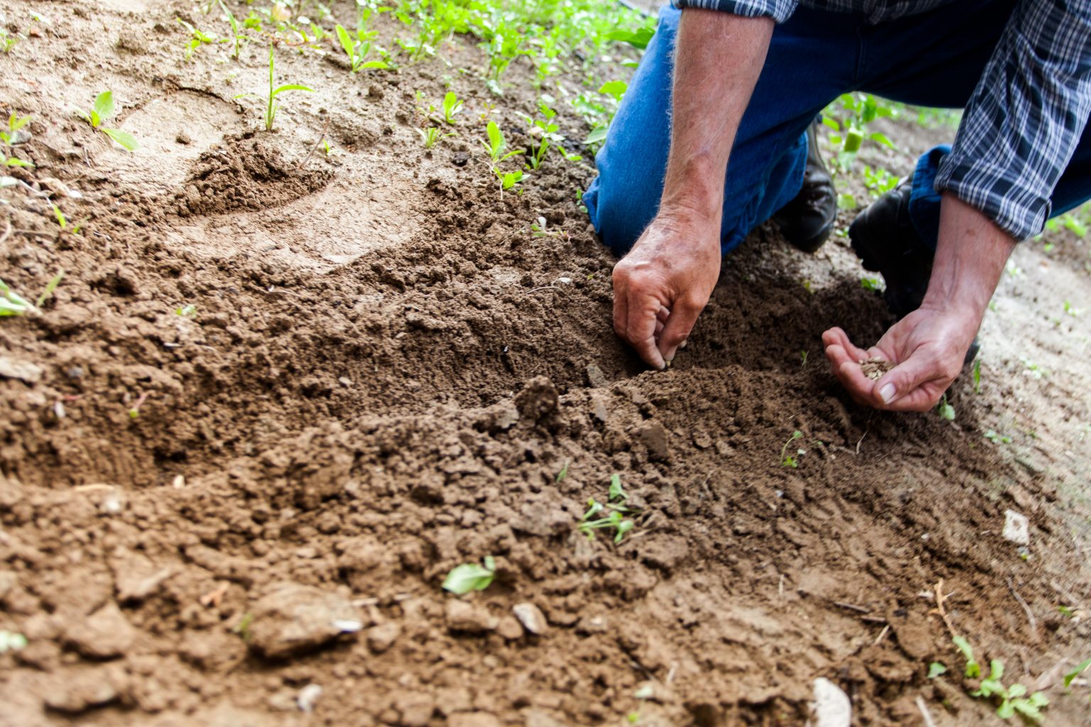 Imagen principal del artículo: El gran privilegio y placer de trabajar por y para Costa Rica