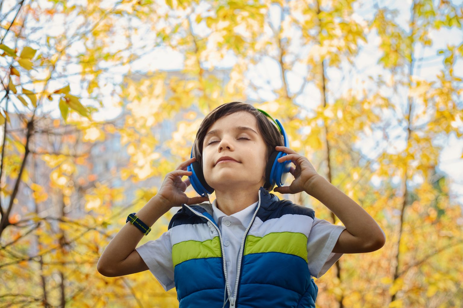Imagen principal del artículo: Efectos de los estímulos musicales en el cerebro y su uso para combatir la depresión en personas de cualquier edad